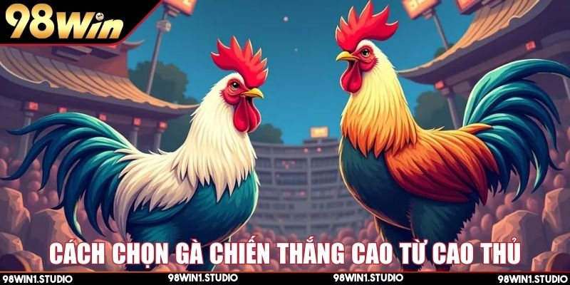 Bí quyết chọn gà thắng lớn khi chơi đá gà trực tuyến