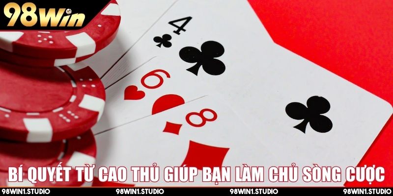 Bí quyết từ cao thủ giúp bạn làm chủ sòng cược
