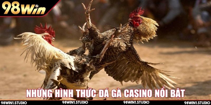 Các loại cược đá gà casino được yêu thích nhất hiện nay