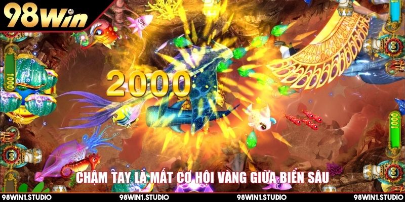 Chậm tay là mất cơ hội vàng giữa biển sâu