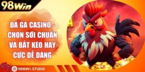 Đá Gà Casino - Chọn Sới Chuẩn Và Bắt Kèo Hay Cực Dễ Dàng