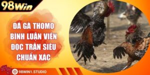 Đá Gà Thomo Bình Luận Viên Đọc Trận Siêu Chuẩn Xác