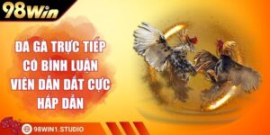 Đá Gà Trực Tiếp Có Bình Luận Viên Dẫn Dắt Cực Hấp Dẫn