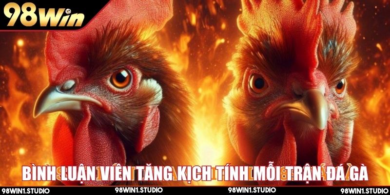 Đá gà trực tiếp có bình luận viên mang lại cảm xúc cao