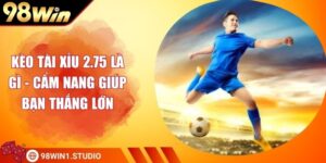Kèo Tài Xỉu 2.75 Là Gì - Cẩm Nang Giúp Bạn Thắng Lớn