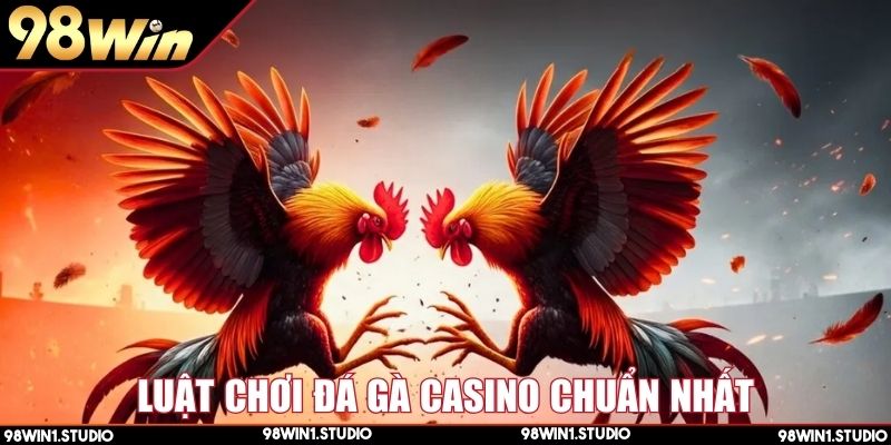 Kinh nghiệm chơi đá gà casino chuẩn cho người mới