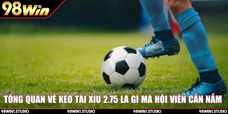 Tổng quan về kèo tài xỉu 2.75 là gì mà hội viên cần nắm 