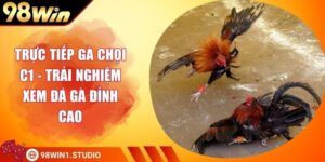 Trực Tiếp Gà Chọi C1 - Trải Nghiệm Xem Đá Gà Đỉnh Cao